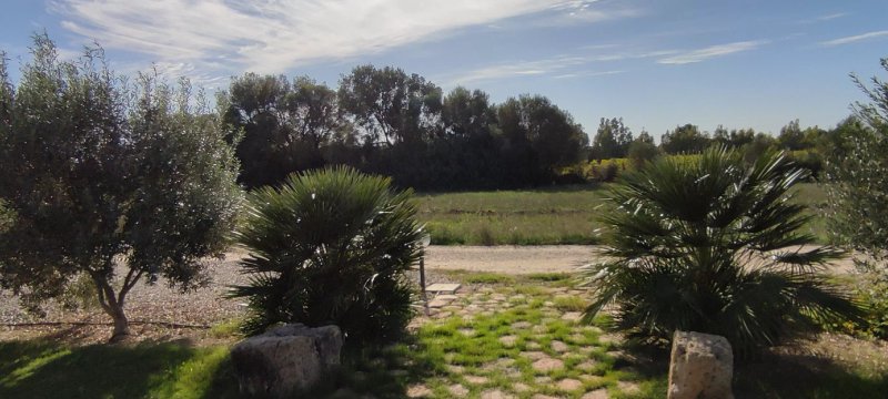 Agriturismo Is Solinas