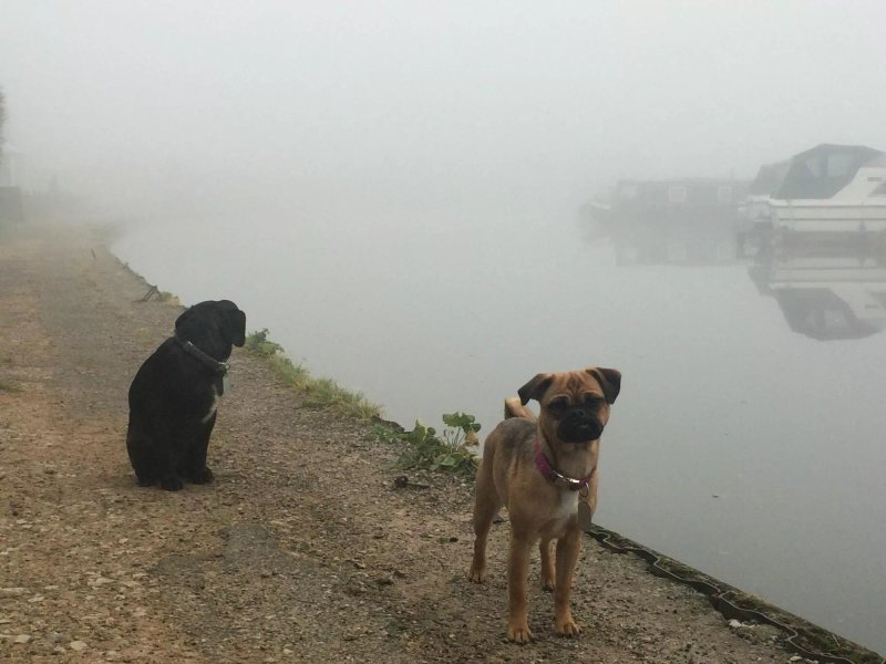The Canal Turn - Carnforth