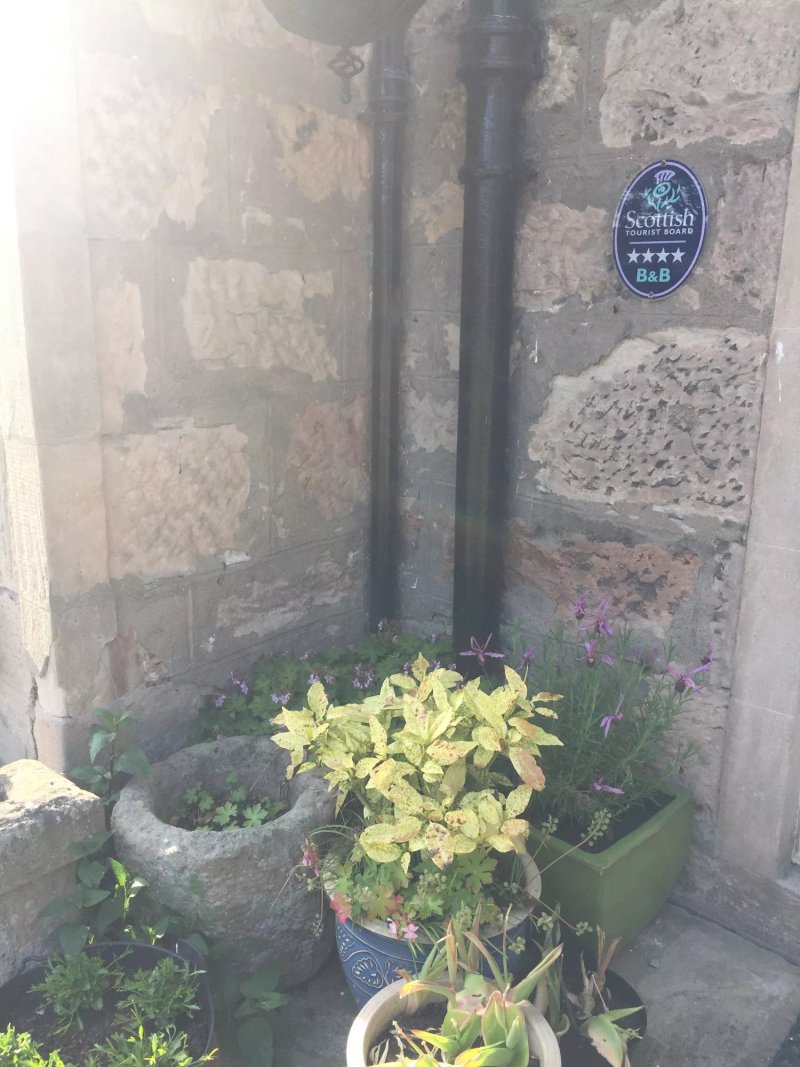 Brighton House B&B