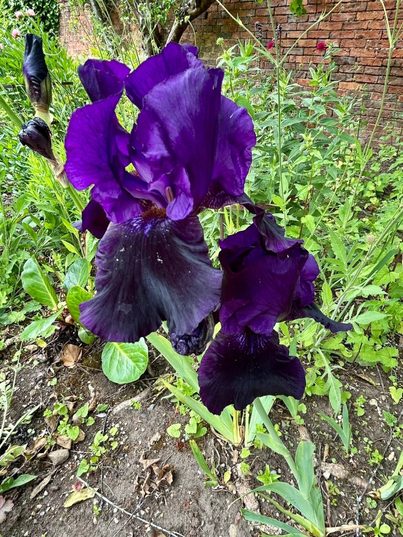 Bradley Gardens