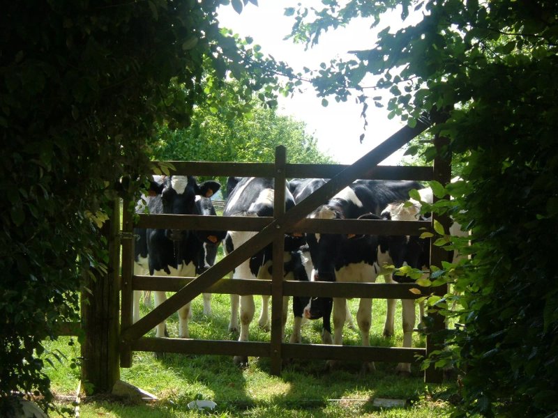 Le Logis Escures