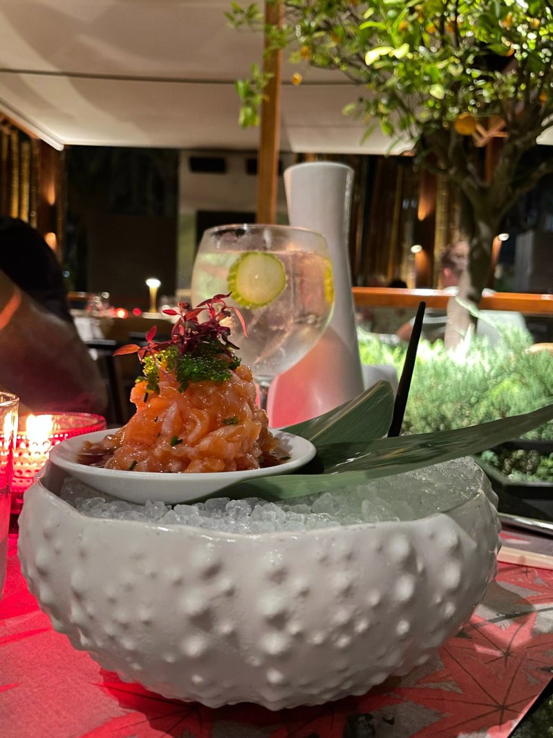 Tahini Sushi Bar & Restaurant Portals
