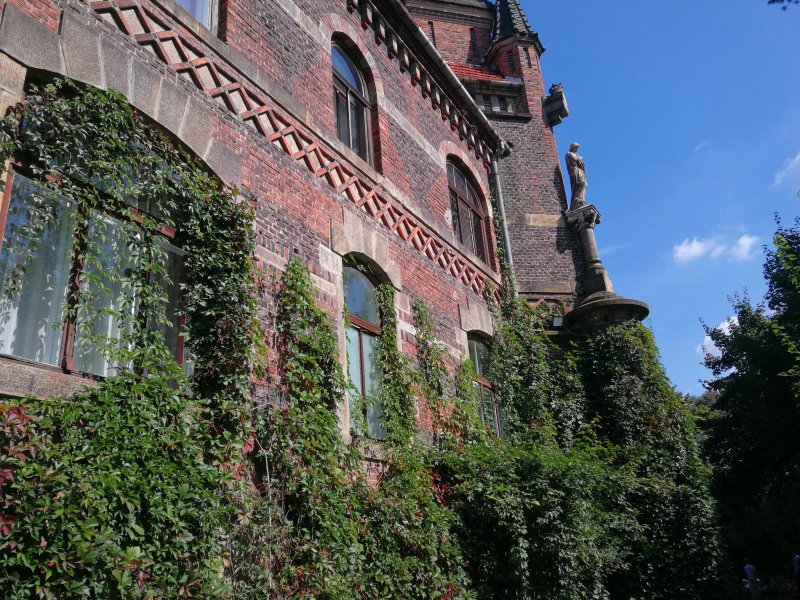 Palac Zelenskich - Restaurant