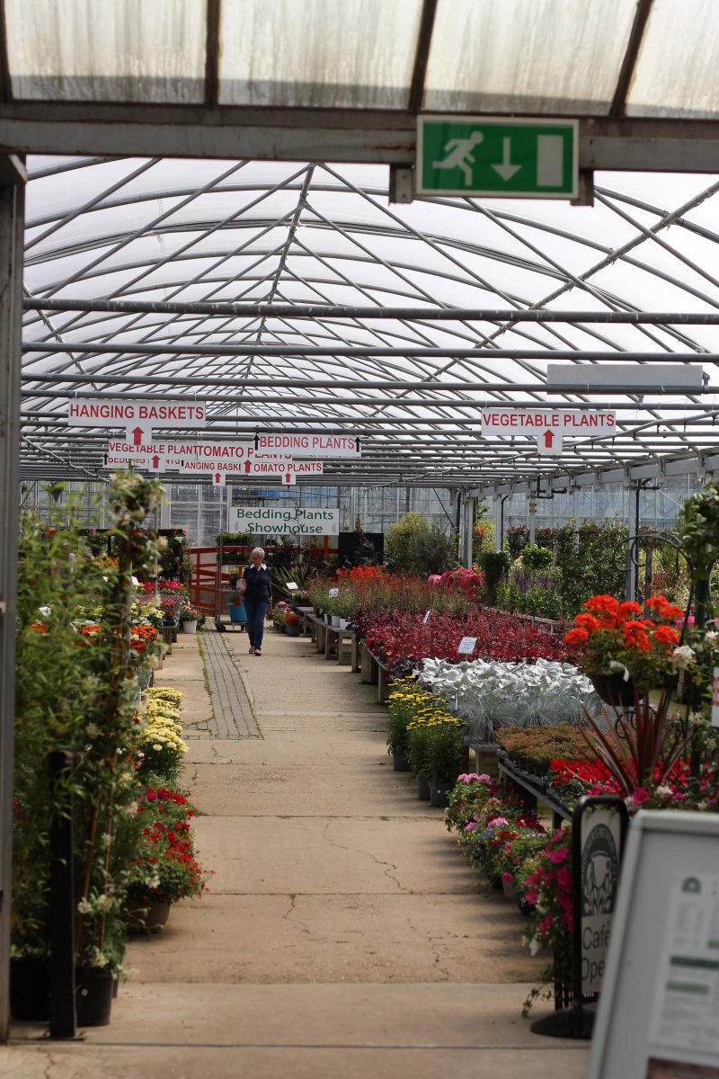Plants Galore