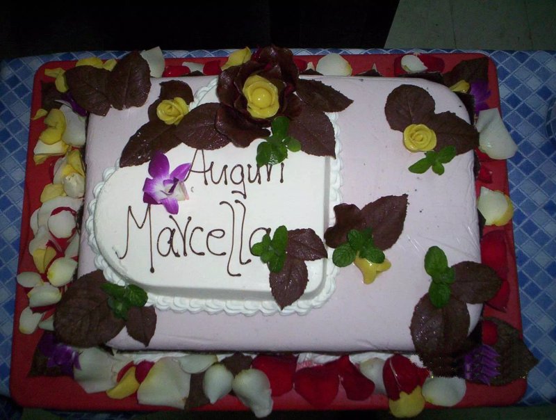 Ristorante il Vignale