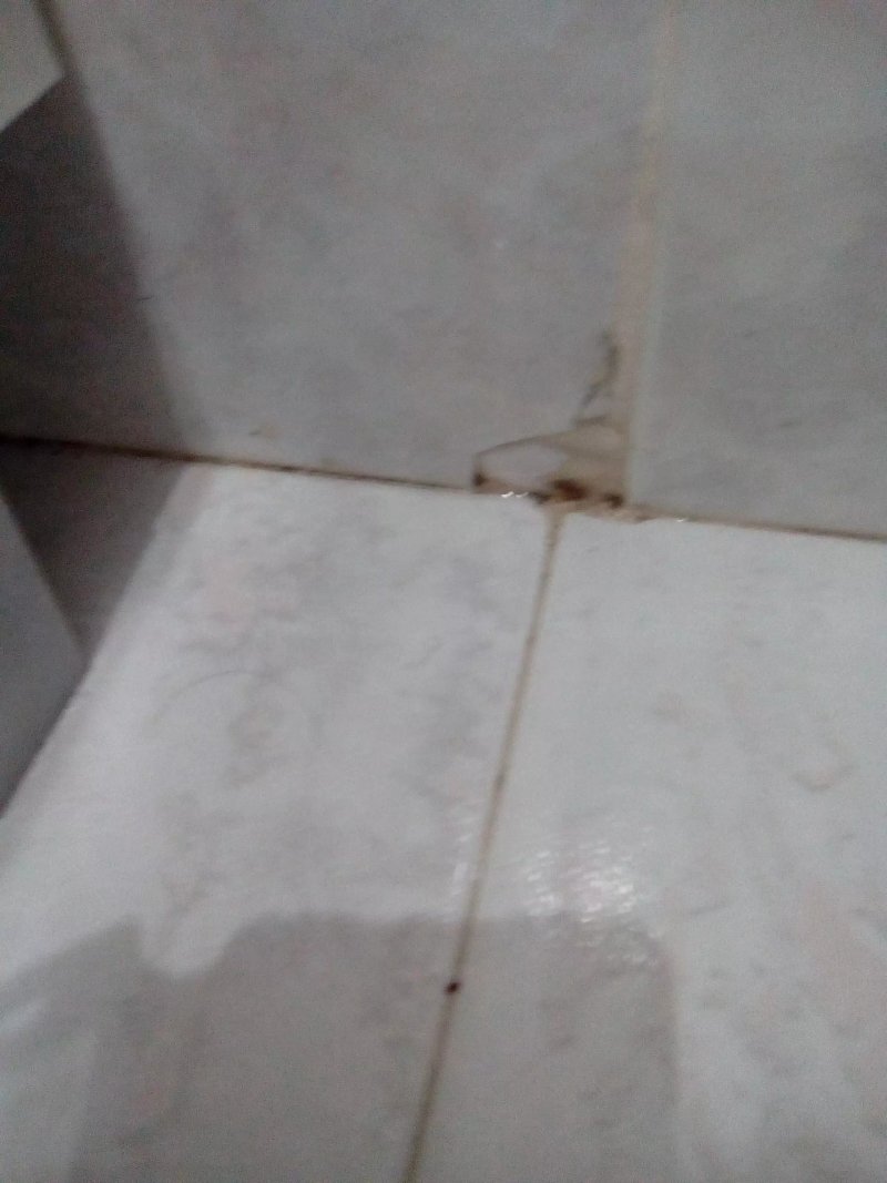 Hogar de Puerto