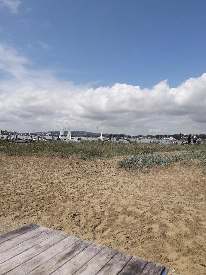 The Harbour View