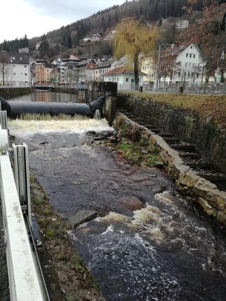 Alte Linde