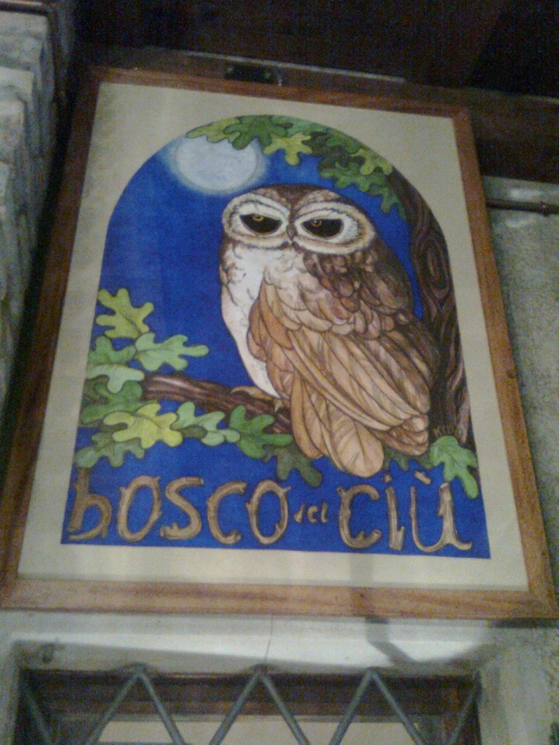 Agriturismo Il Bosco del Ciu