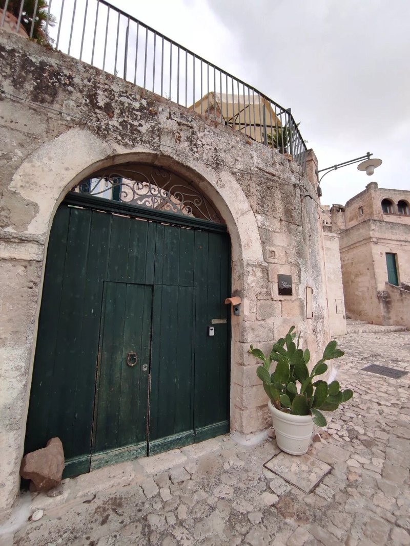 Casa Tudor Art