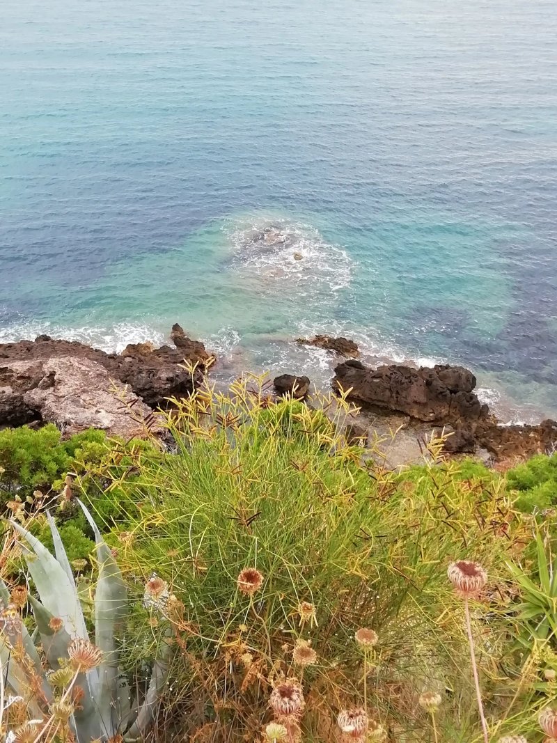 B & B Garibaldi