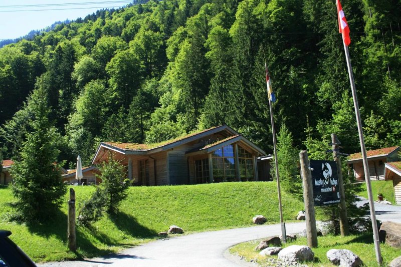 Restaurant Husky Lodge
