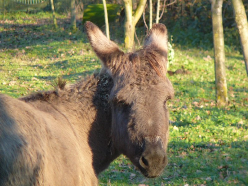Cascina Riazzolo Agriturismo E Ristoro