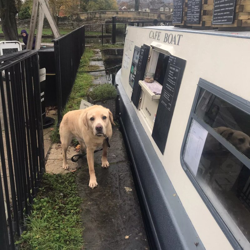 Butty & Sweet Cafe Boat