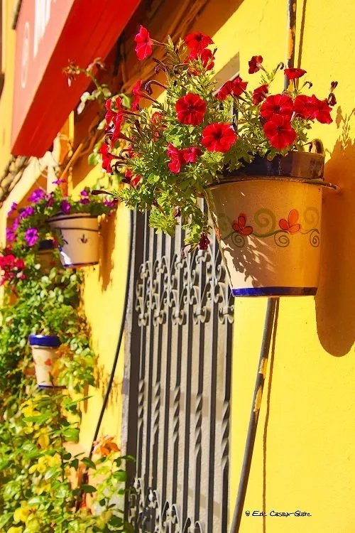 Casa Rural La Bardena Blanca