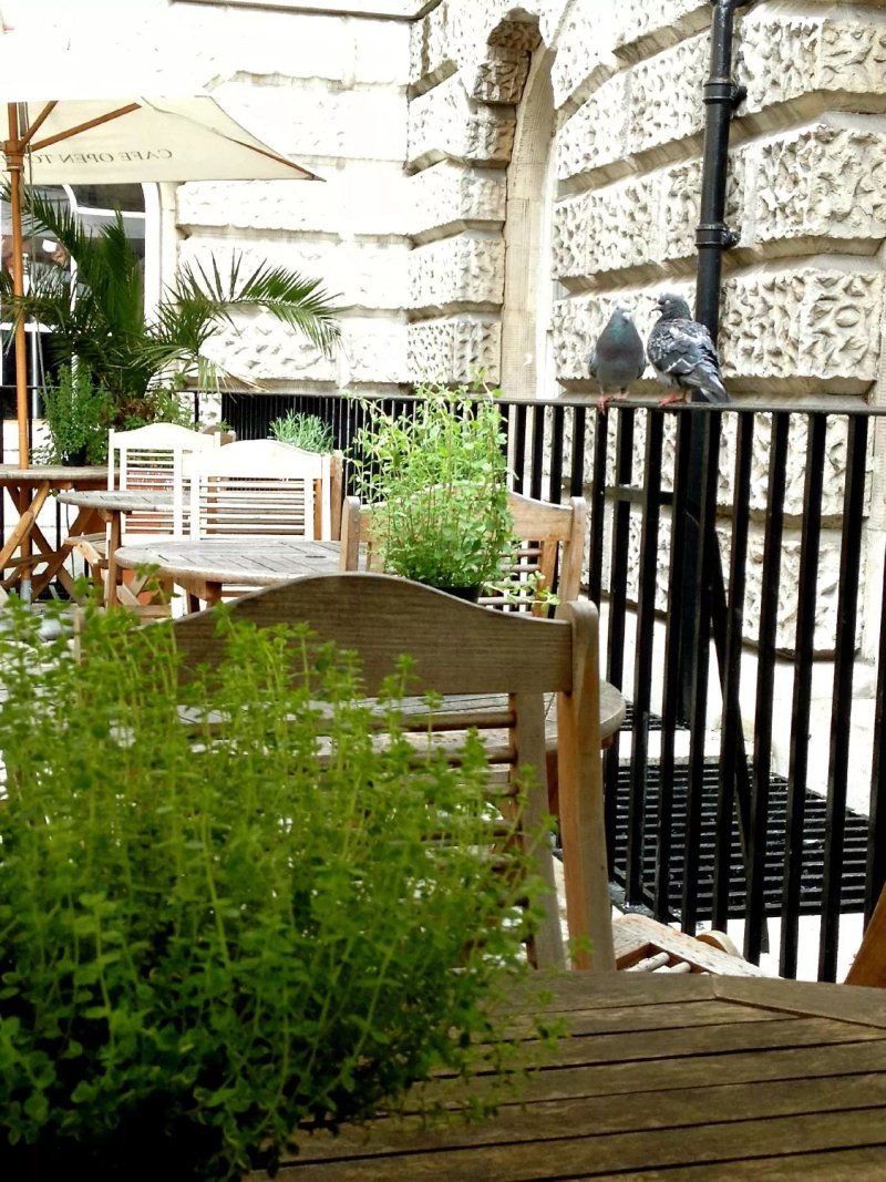 The Courtauld Gallery Cafe