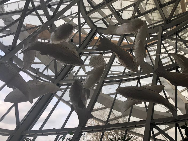 Le Frank Fondation Louis Vuitton