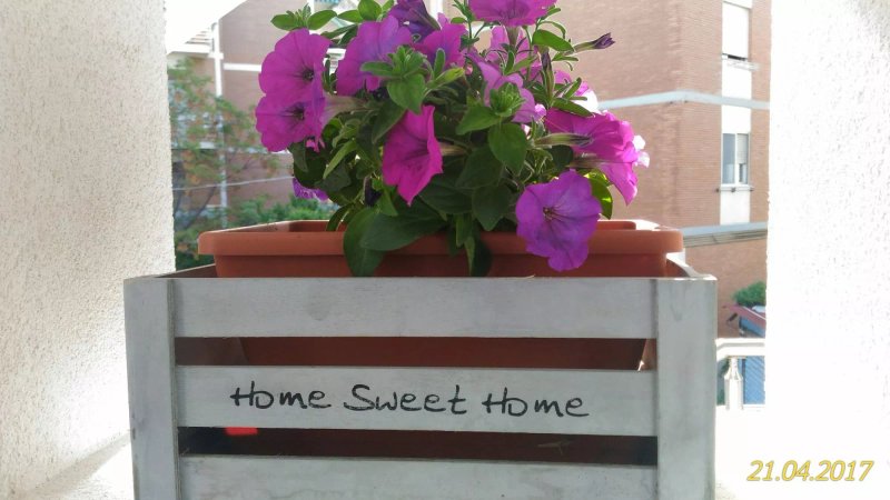 Sweet Home & Wellness Luxury Apartment