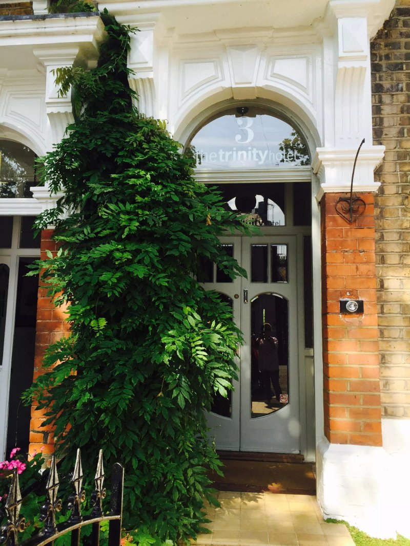 The Trinity Hotel