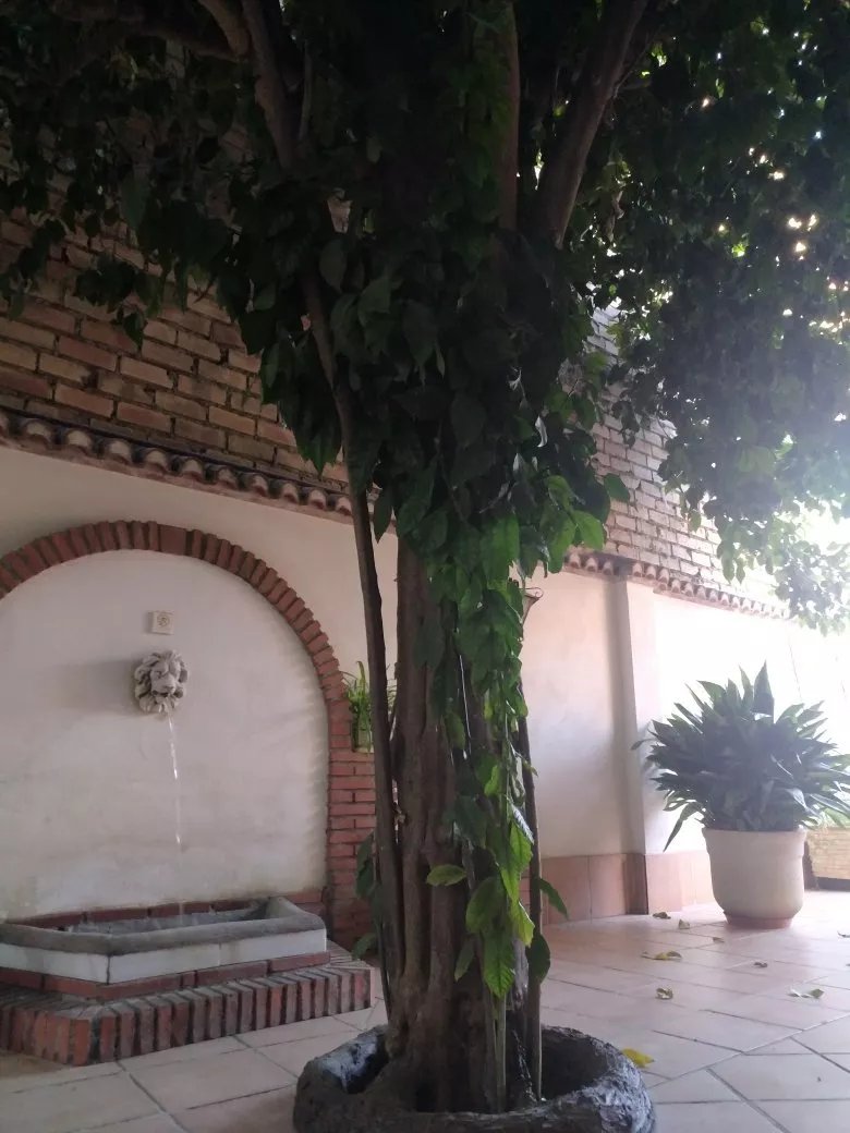 Apartamentos Turisticos Cullar Vega