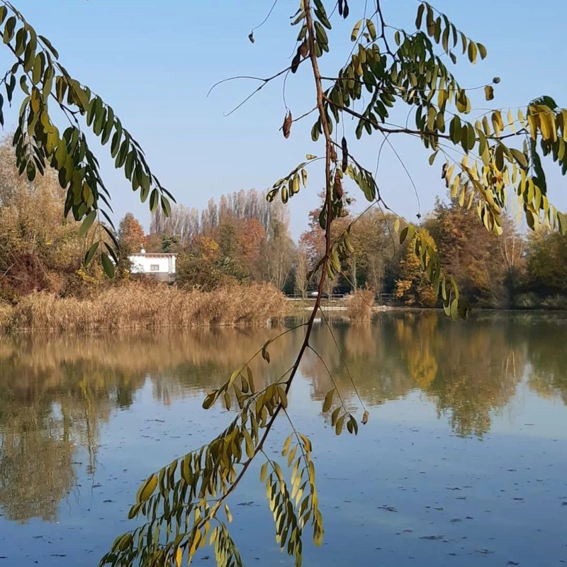 Ristorante Lago Al Boschetto Carpfishing