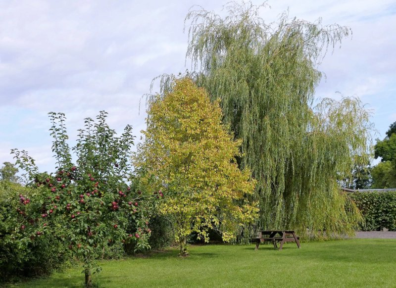 The Willows Bed and Breakfast