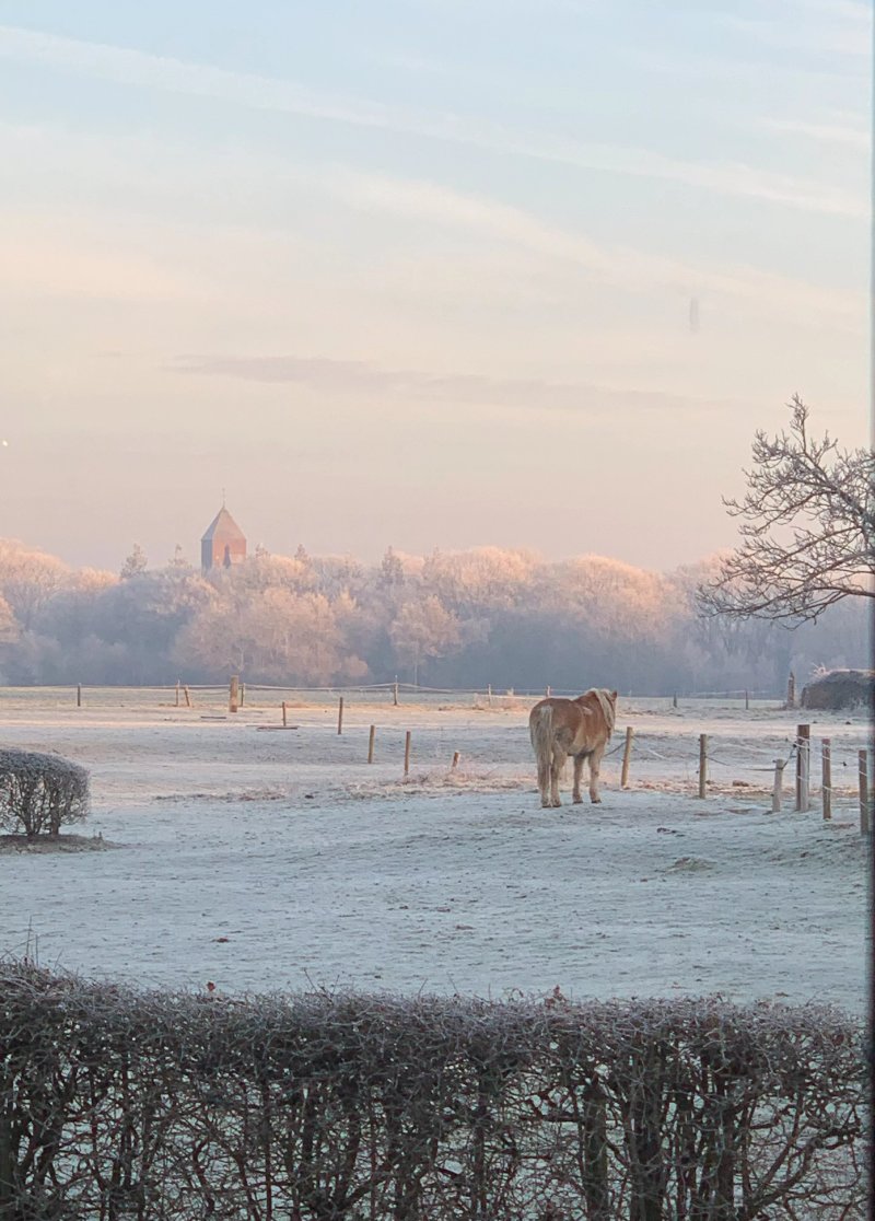 Ludiek Eten - Slapen