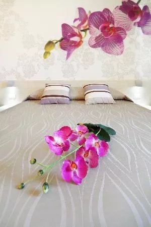 Hotel Alex