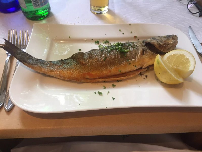 Scampino