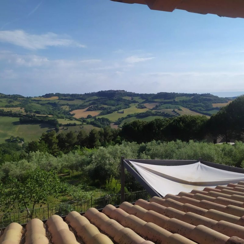 Punto Magico