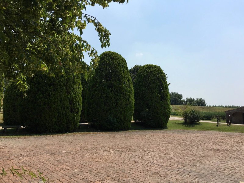 Agriturismo l'Albero del Latte