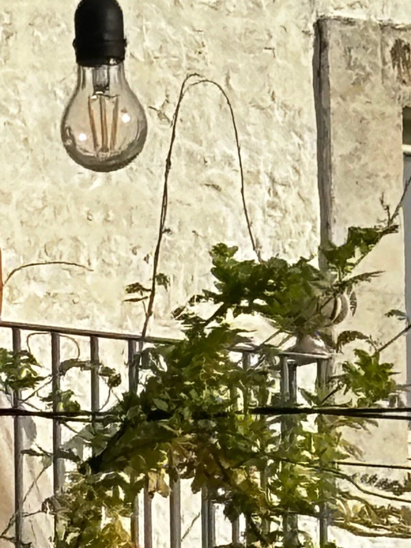 Tenuta Pinto