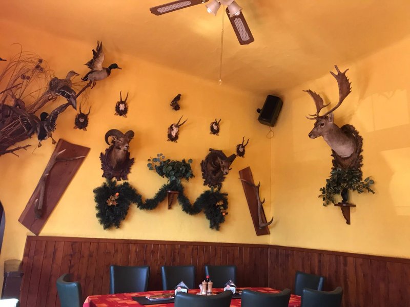 Restaurace U Dvoracku