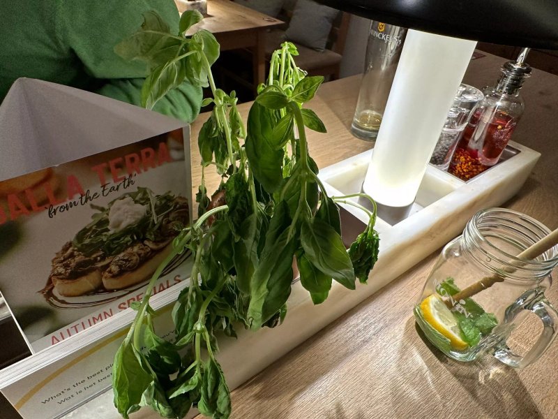 Vapiano