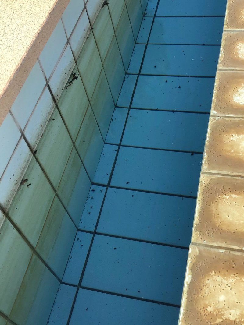 Azzurro Holiday Villas - Cyprus