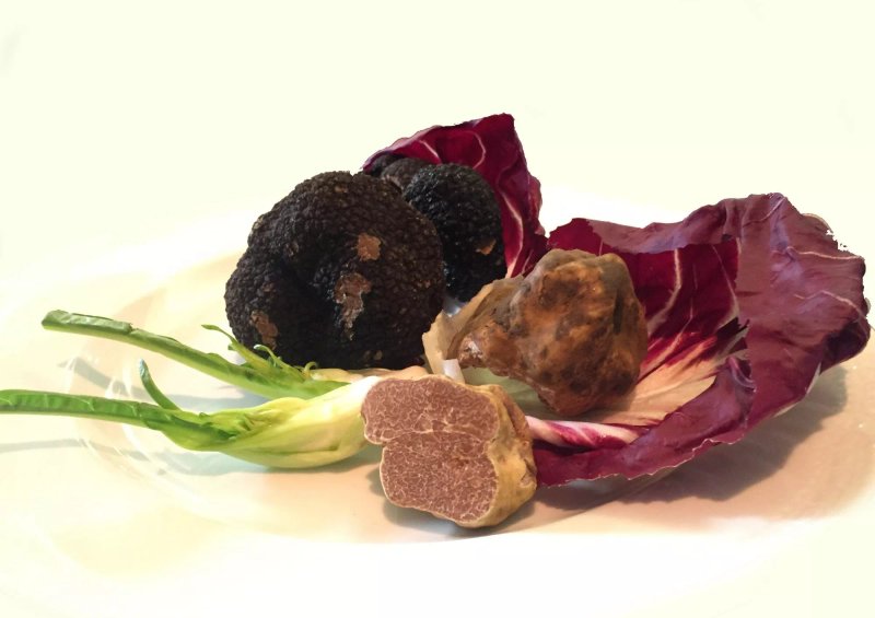 Ristorante Frescobaldi Firenze