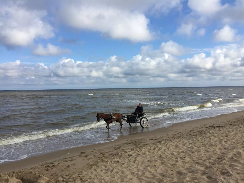Willy Noord Strandpaviljoen