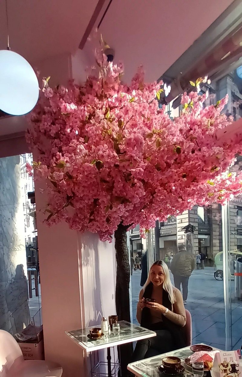 Aida Cafe