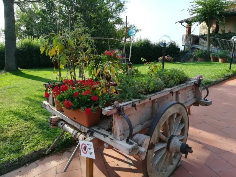 Agriturismo Sant'Antonio