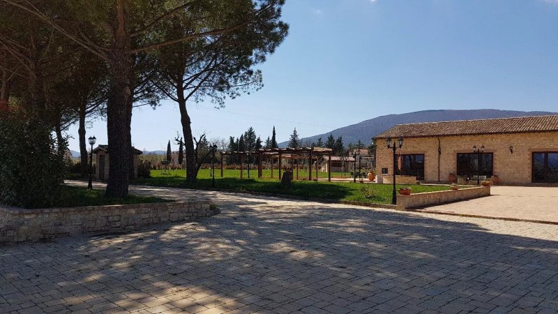 Agriturismo Il Pianaccio
