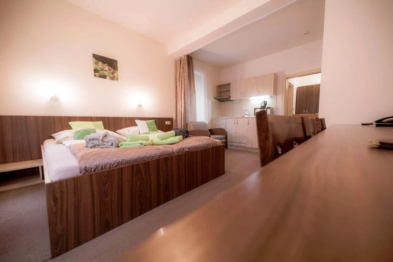 Wellness & Spa Hotel Certov