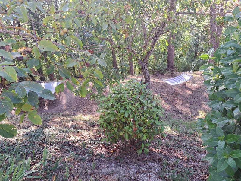 Agriturismo Le Dolci Colline