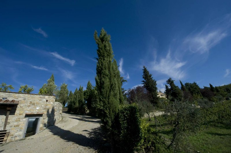 Agriturismo Il Palagio di Panzano