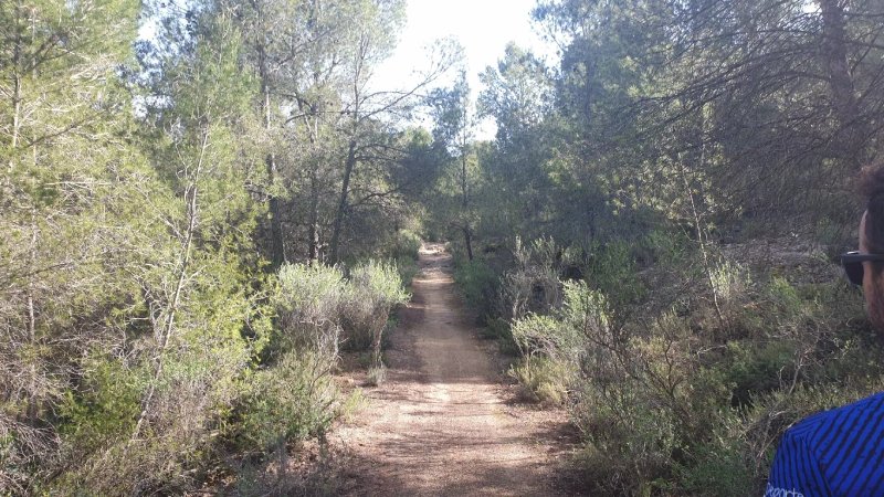 Rambla De Sangonera