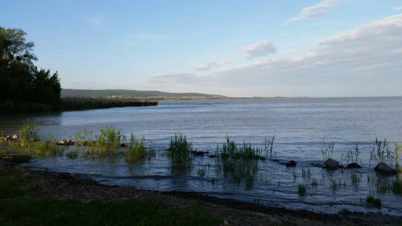 Halaszcsarda