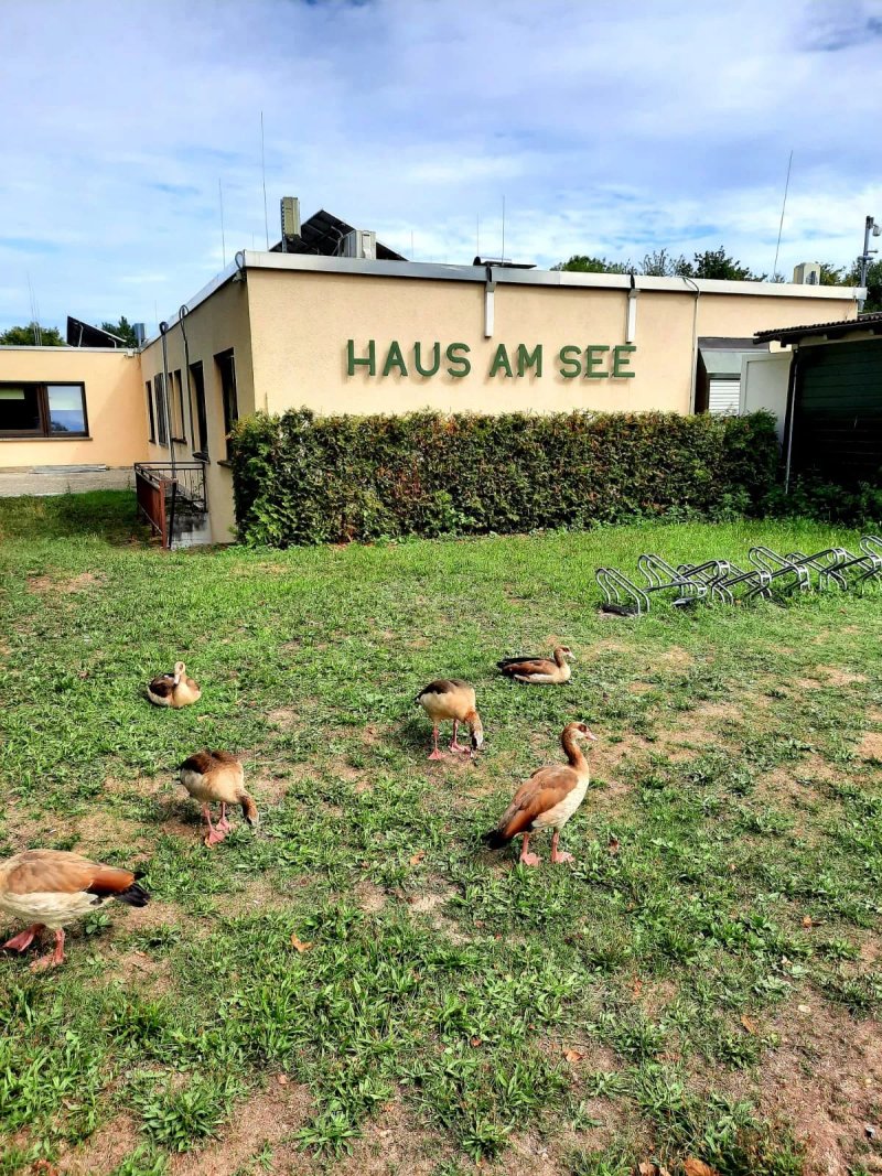 Haus am See