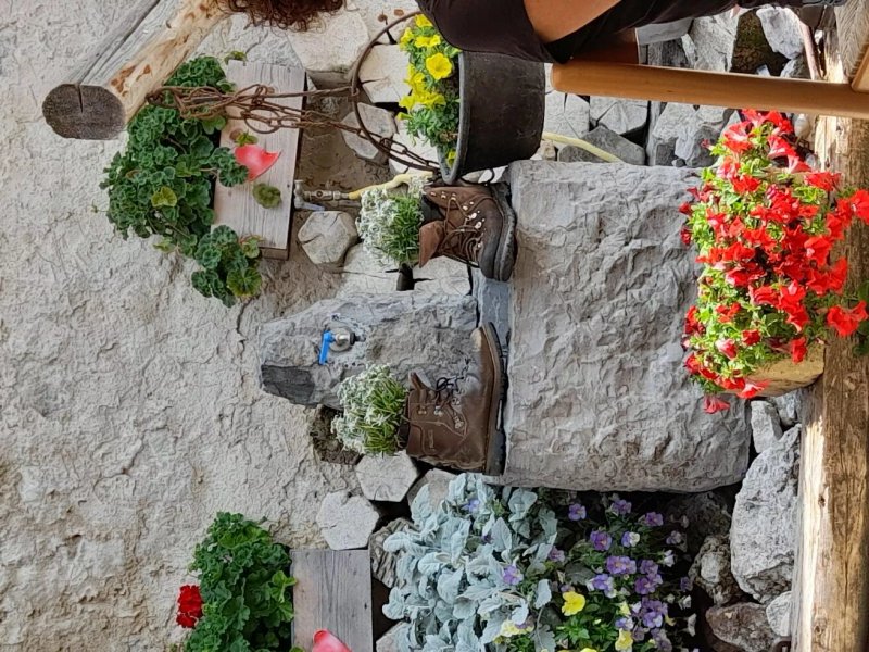 Agriturismo Malga Staulanza