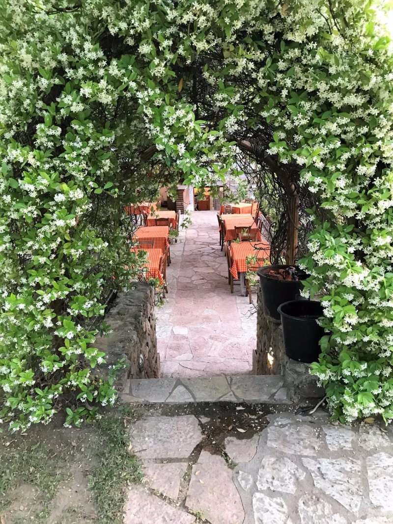 Taverna O Mparmpalias