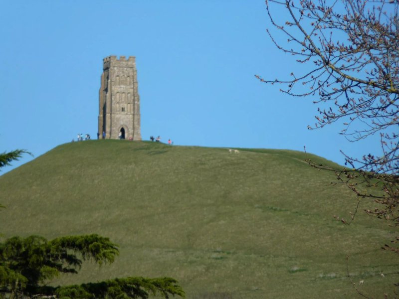 No. 51 Glastonbury