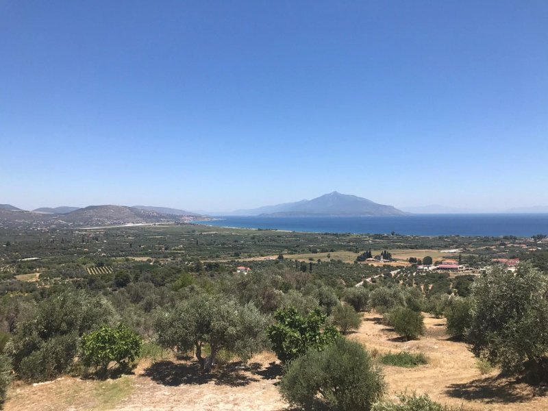 Panorama Tavern